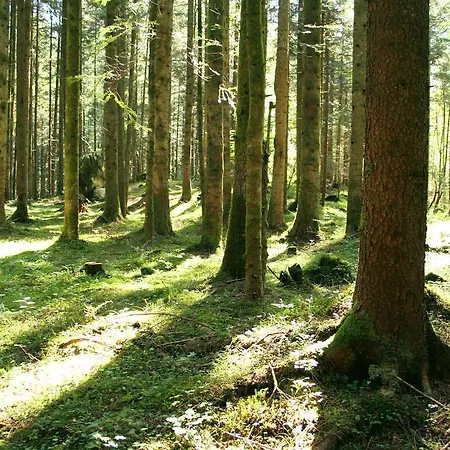 Apartment Weissbacher