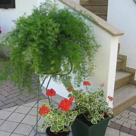 Appartement Weissbacher